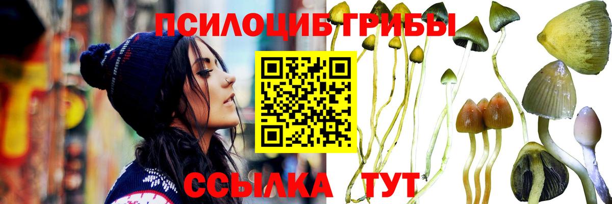 Псилоцибиновые грибы ЛСД Шатура